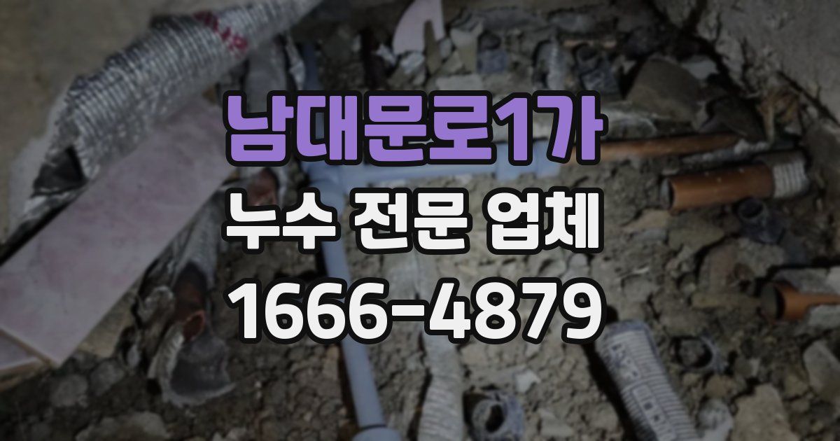 남대문로1가 누수 전문 업체