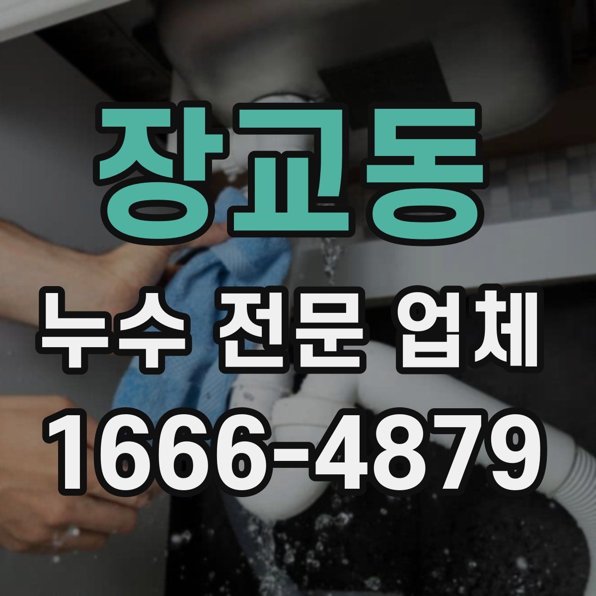 장교동 누수 전문 업체