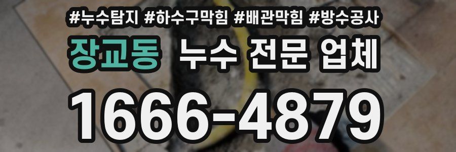 장교동 누수 전문 업체