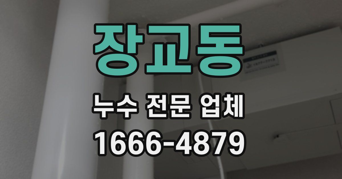 장교동 누수 전문 업체