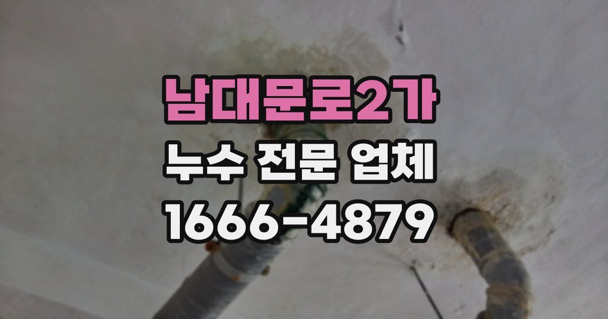 남대문로2가 누수 전문 업체