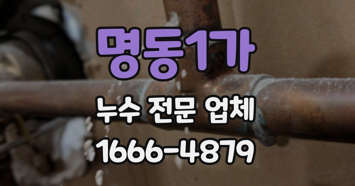 명동1가 누수 전문 업체