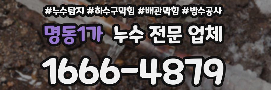 명동1가 누수 전문 업체