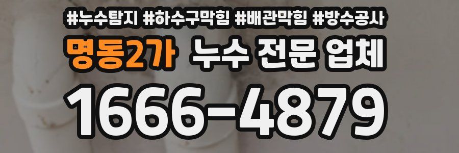 명동2가 누수 전문 업체