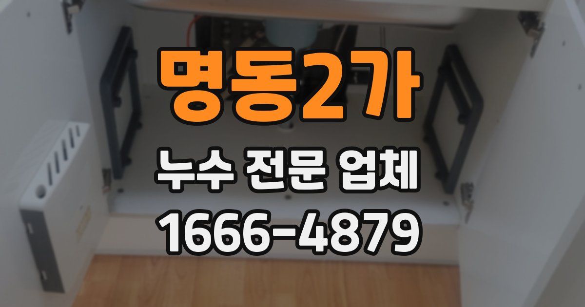 명동2가 누수 전문 업체