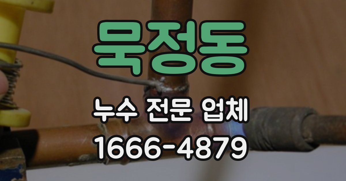 묵정동 누수 전문 업체