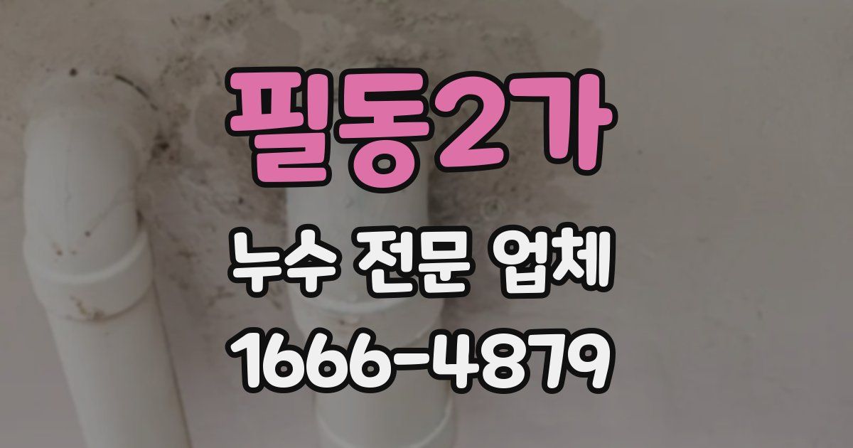 필동2가 누수 전문 업체