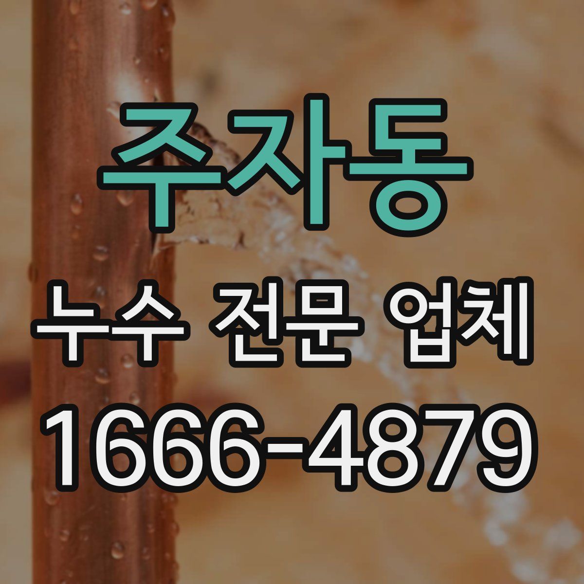 주자동 누수 전문 업체