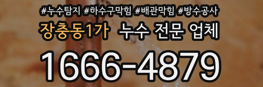 장충동1가 누수 전문 업체