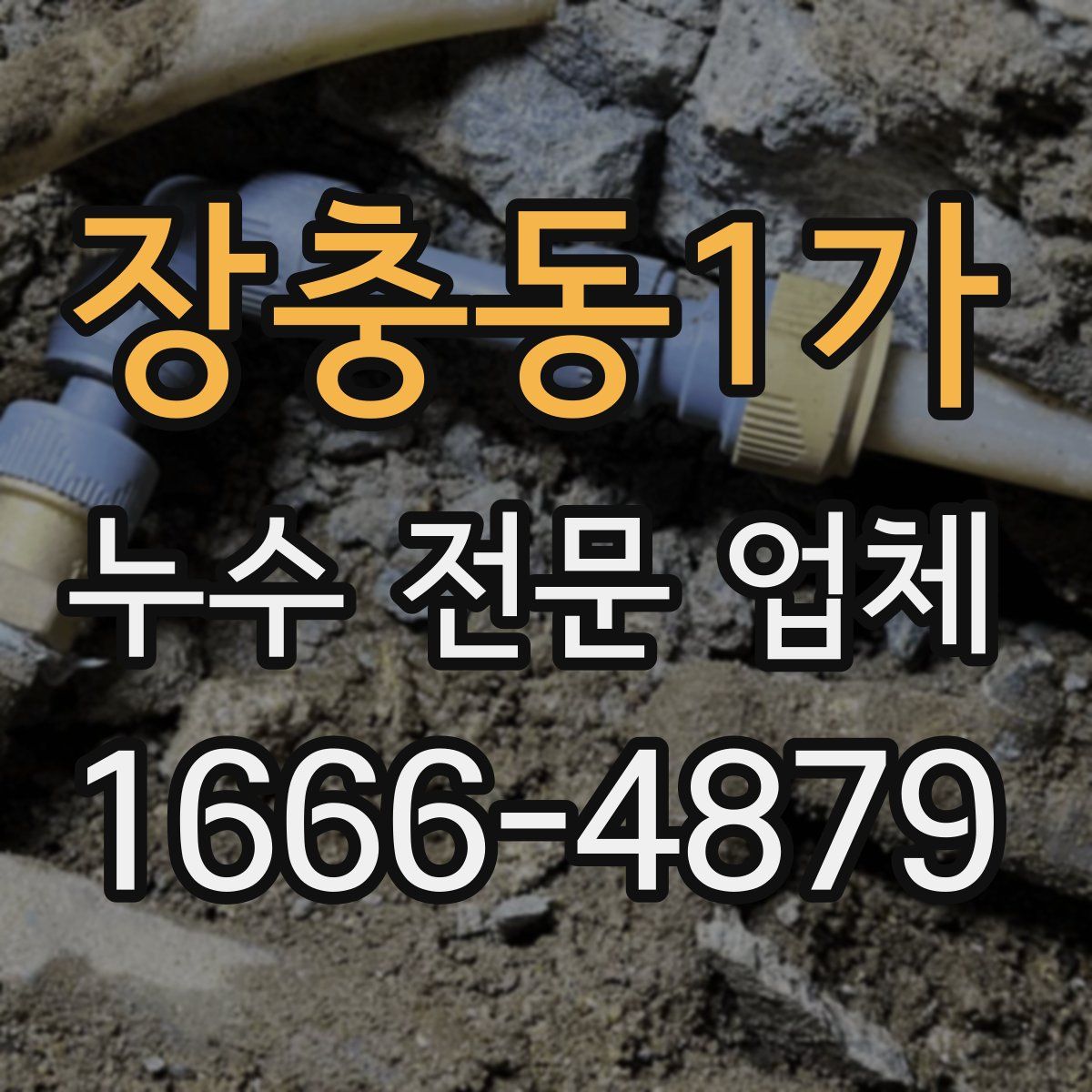 장충동1가 누수 전문 업체