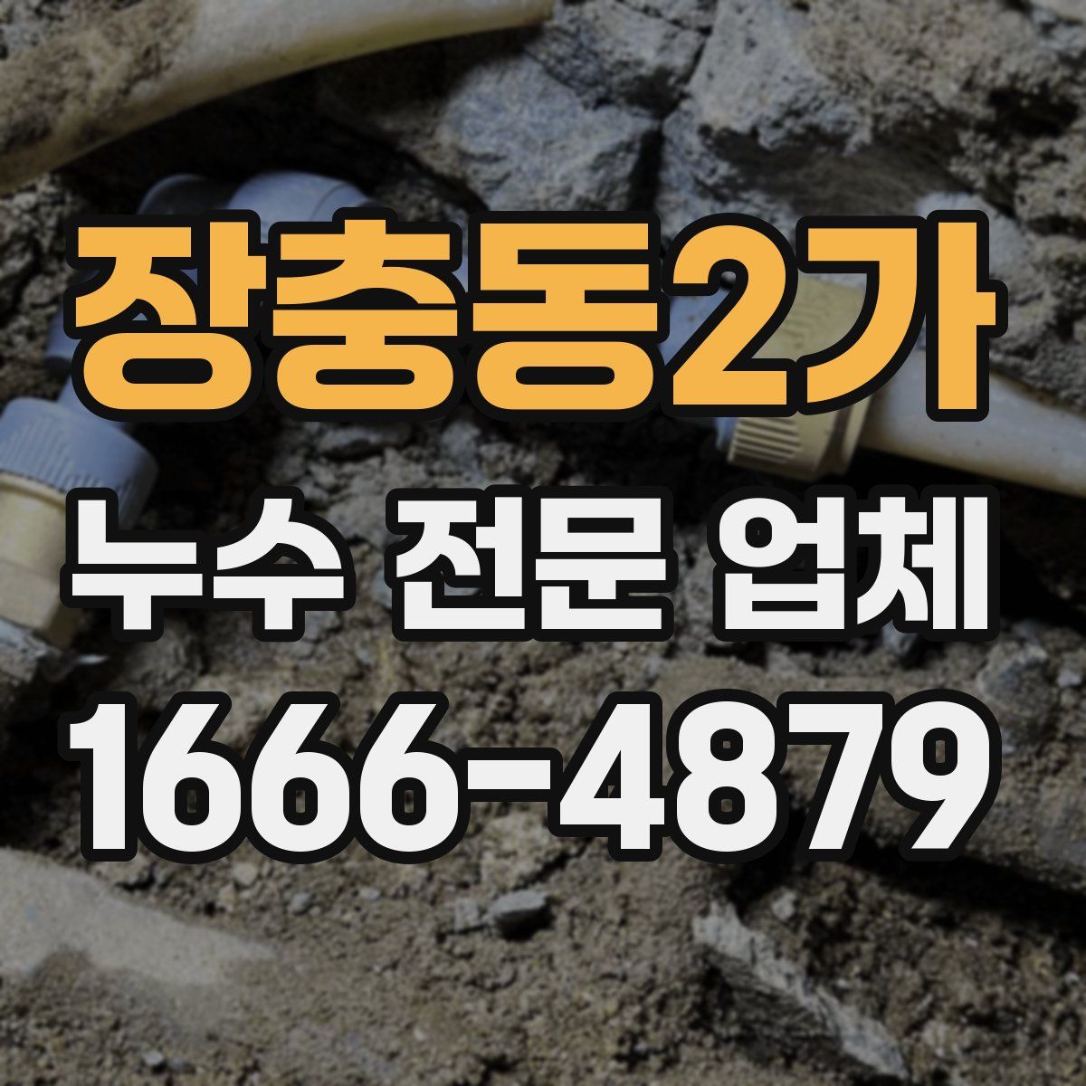 장충동2가 누수 전문 업체