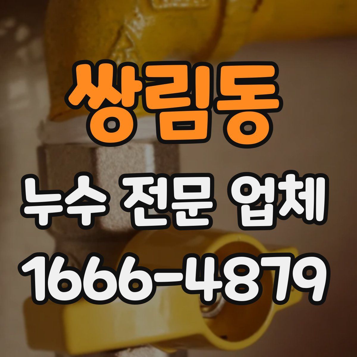 쌍림동 누수 전문 업체