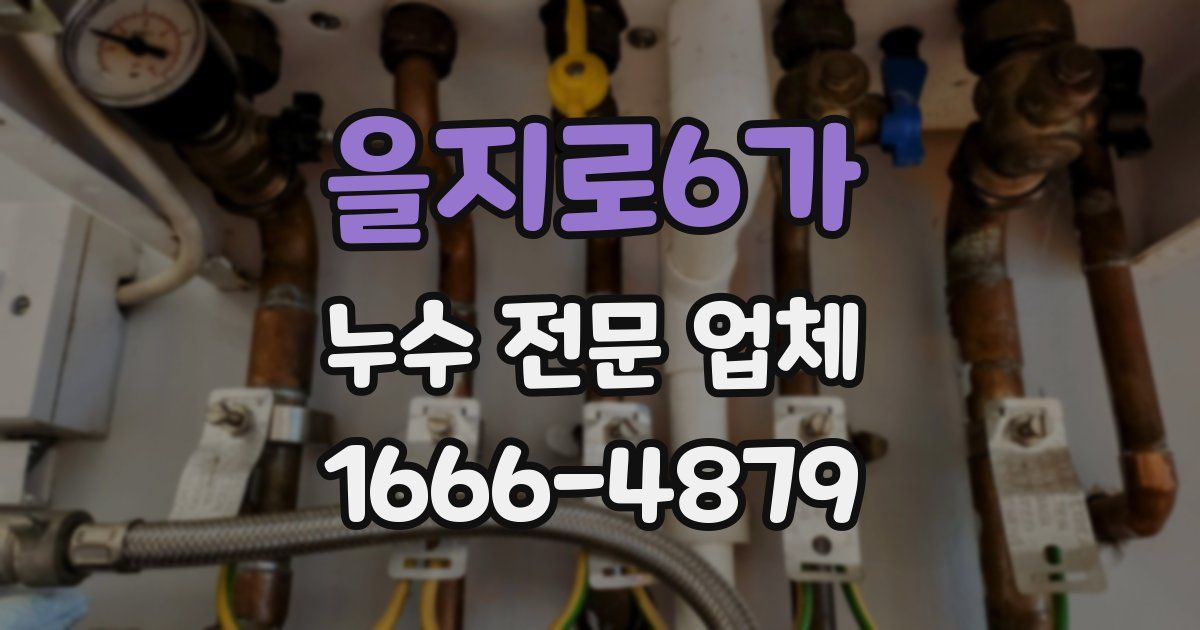 을지로6가 누수 전문 업체