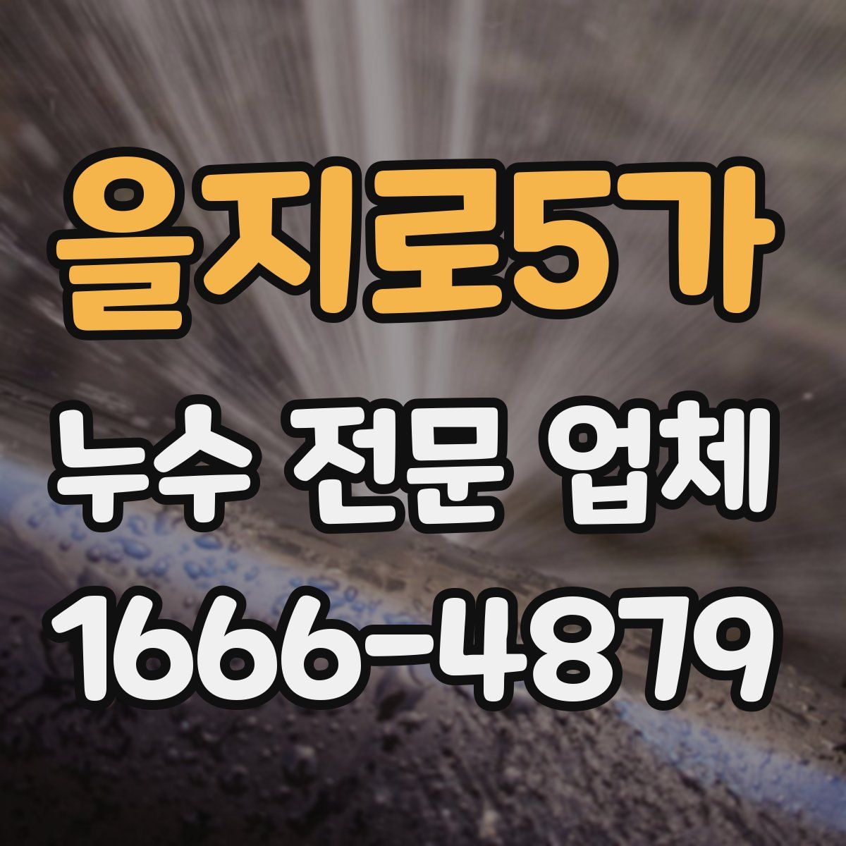 을지로5가 누수 전문 업체