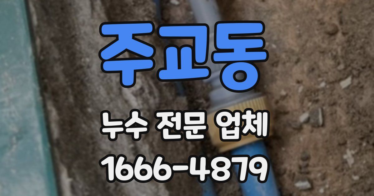 주교동 누수 전문 업체