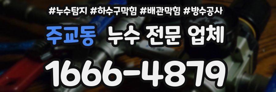 주교동 누수 전문 업체