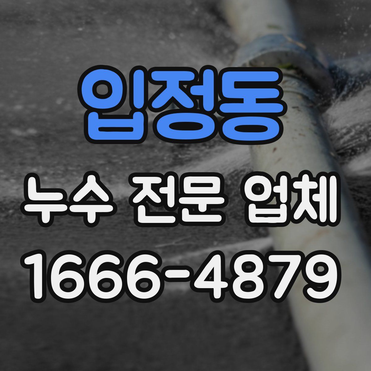 입정동 누수 전문 업체