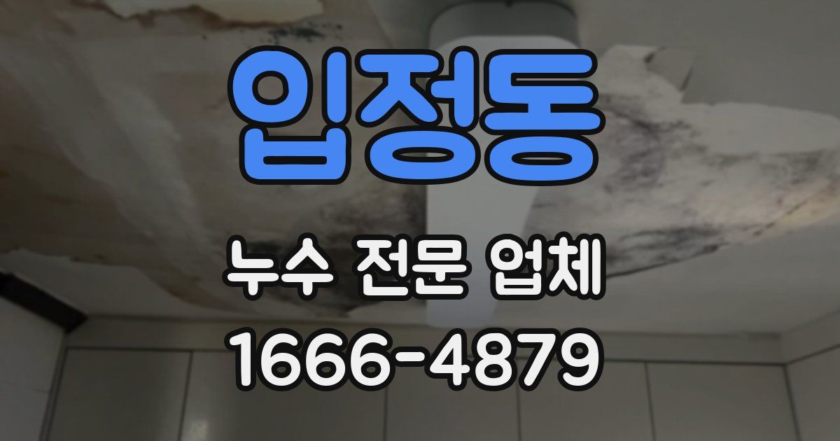 입정동 누수 전문 업체