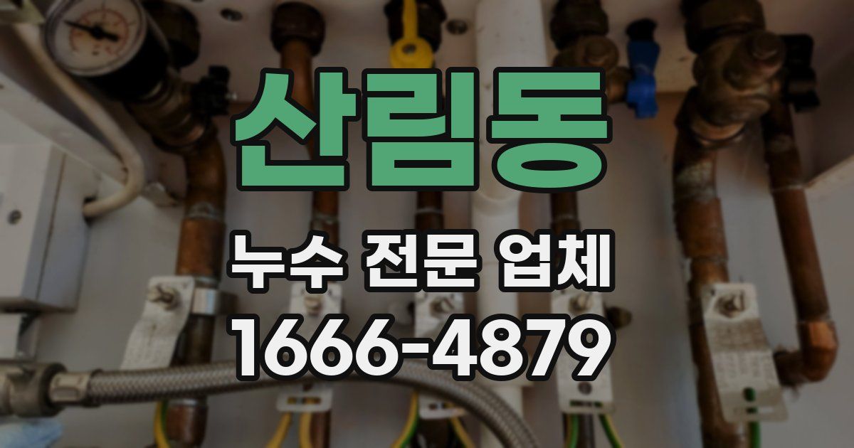 산림동 누수 전문 업체
