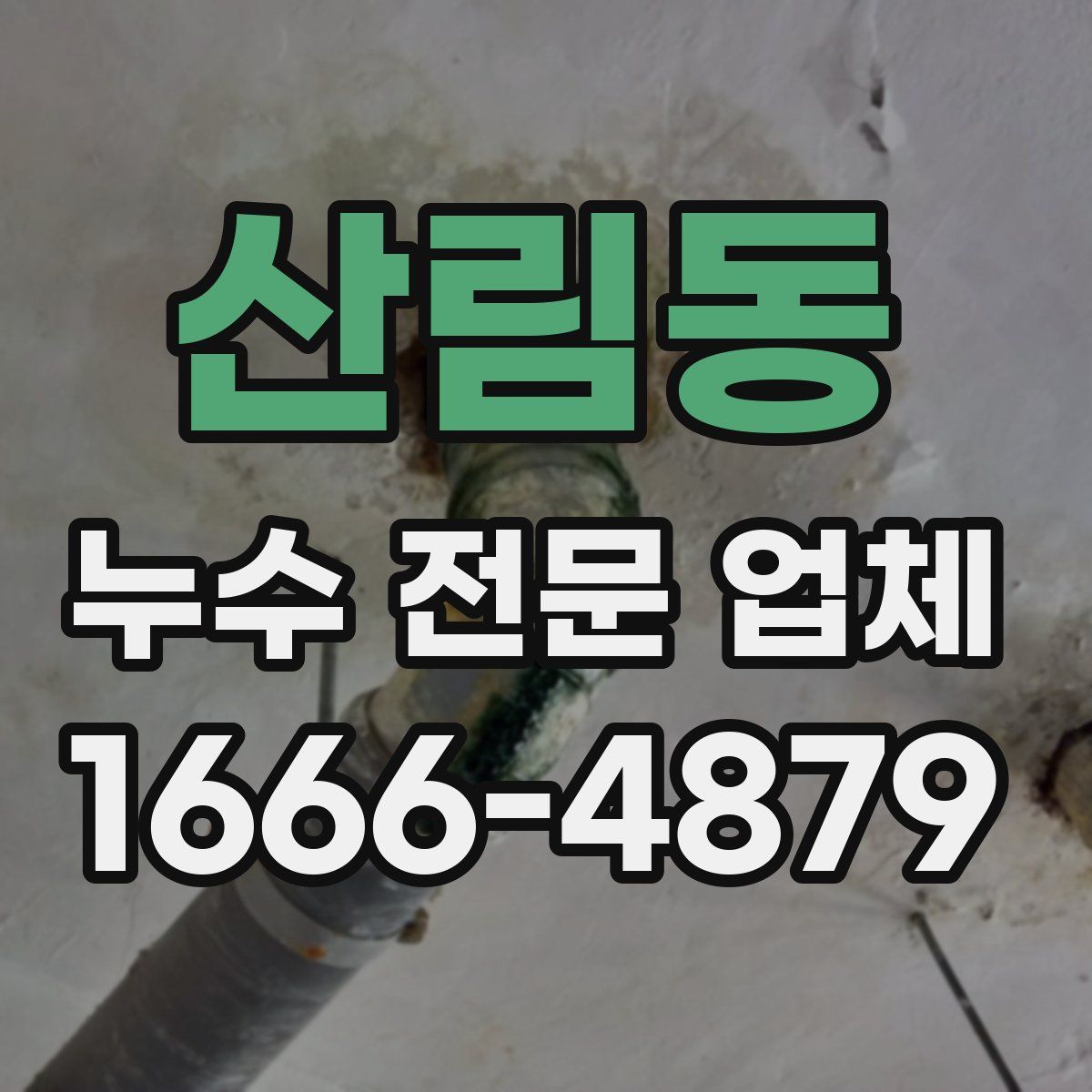 산림동 누수 전문 업체