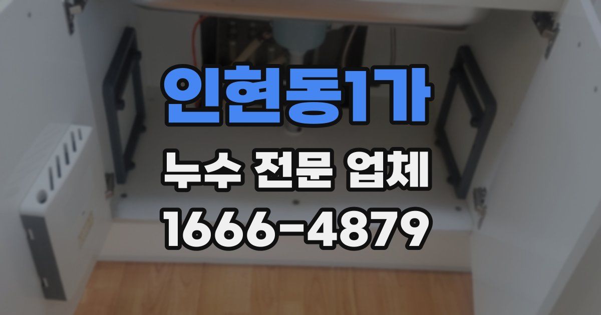 인현동1가 누수 전문 업체