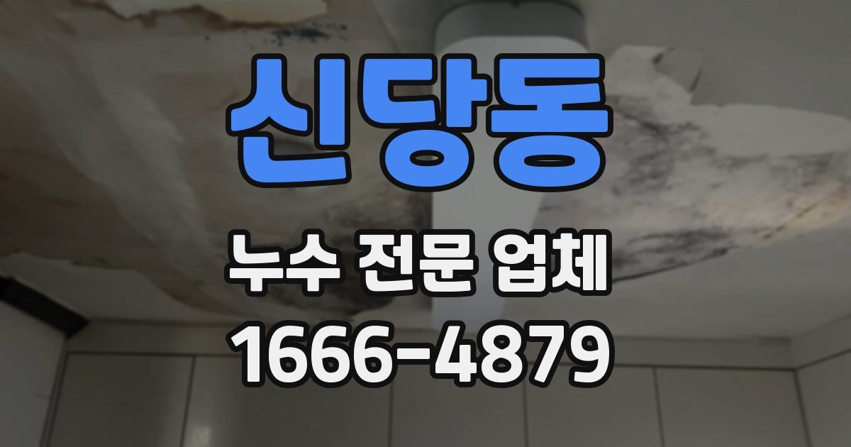 신당동 누수 전문 업체