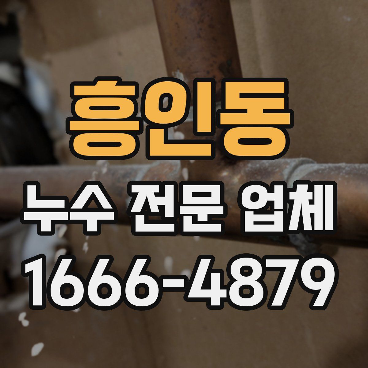 흥인동 누수 전문 업체