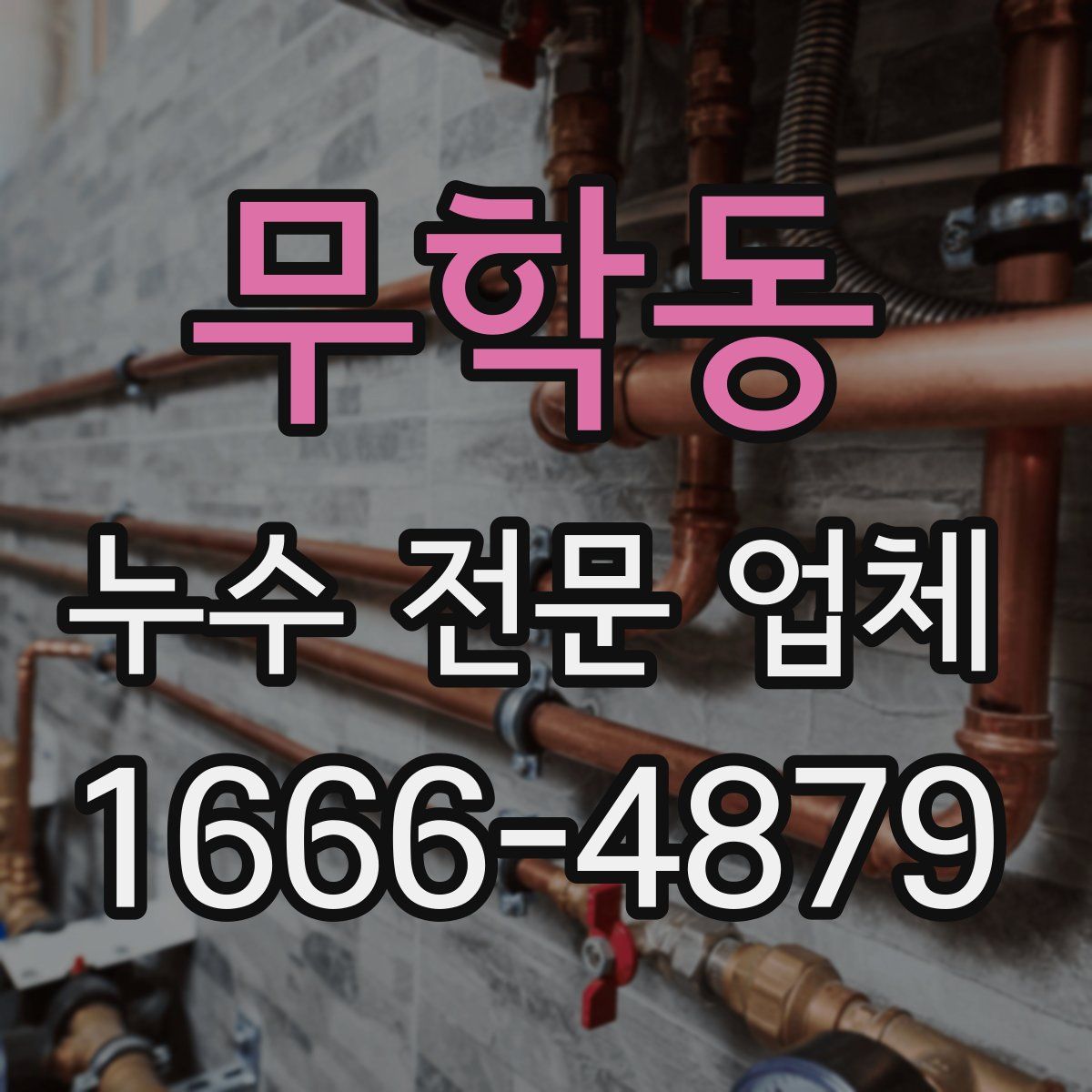무학동 누수 전문 업체