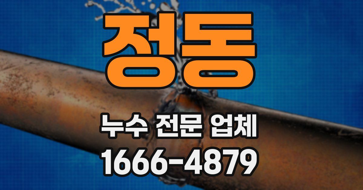 정동 누수 전문 업체