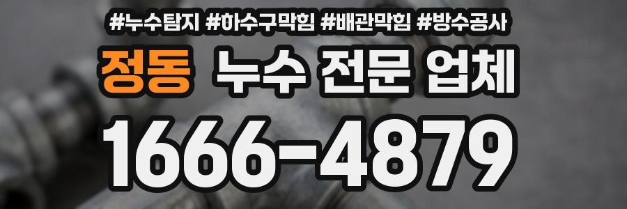 정동 누수 전문 업체
