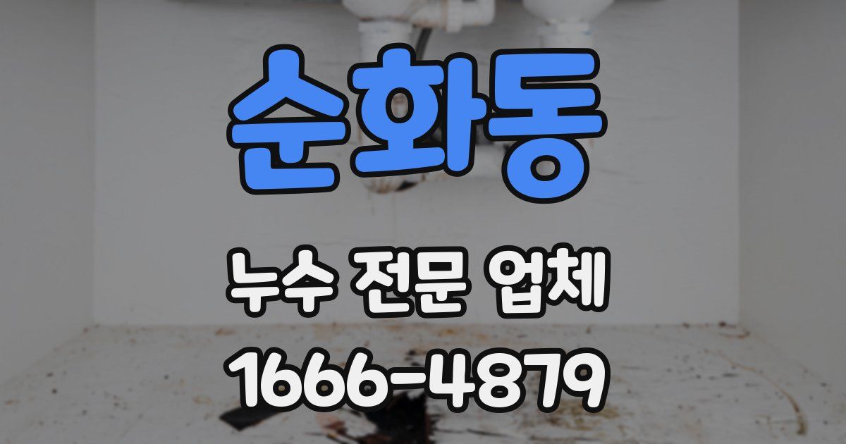 순화동 누수 전문 업체
