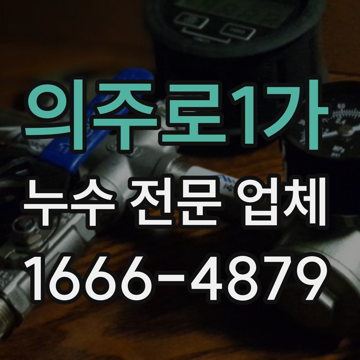 의주로1가 누수 전문 업체