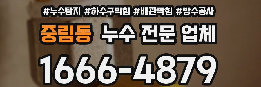 중림동 누수 전문 업체
