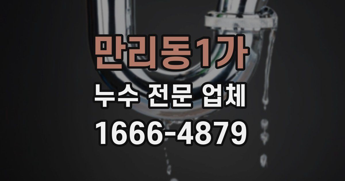 만리동1가 누수 전문 업체