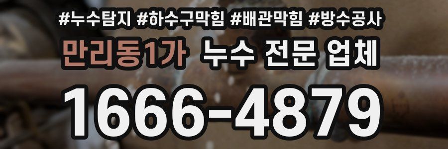 만리동1가 누수 전문 업체