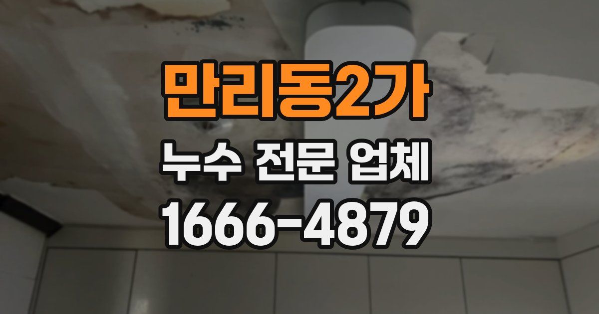 만리동2가 누수 전문 업체