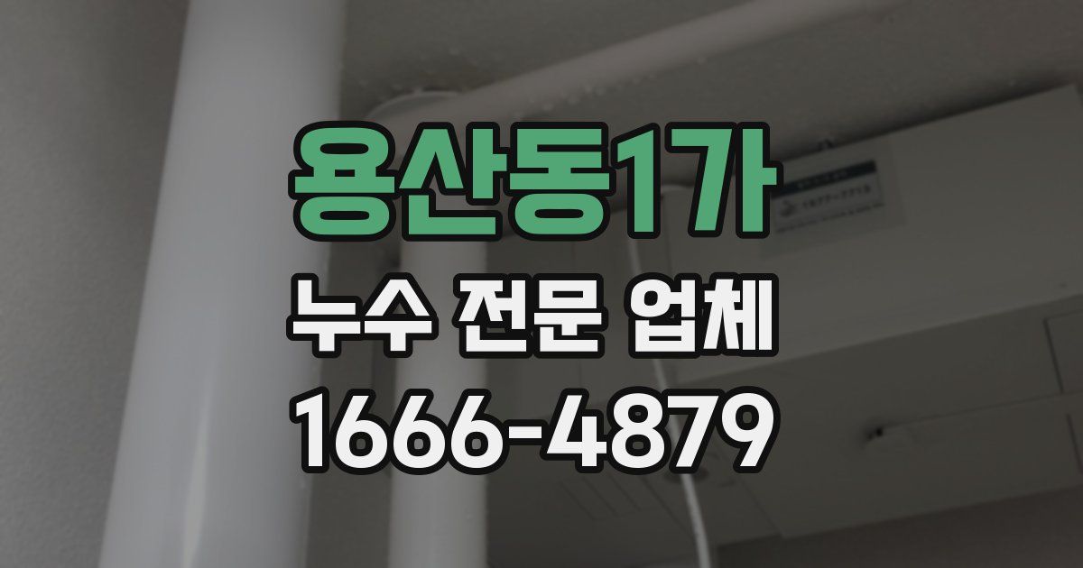 용산동1가 누수 전문 업체
