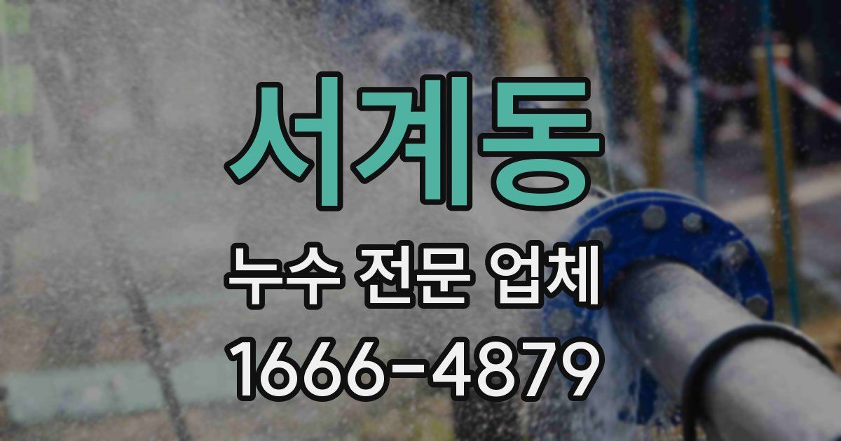 서계동 누수 전문 업체