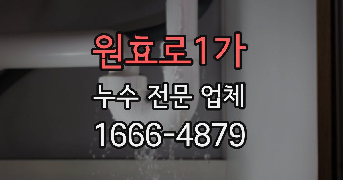 원효로1가 누수 전문 업체