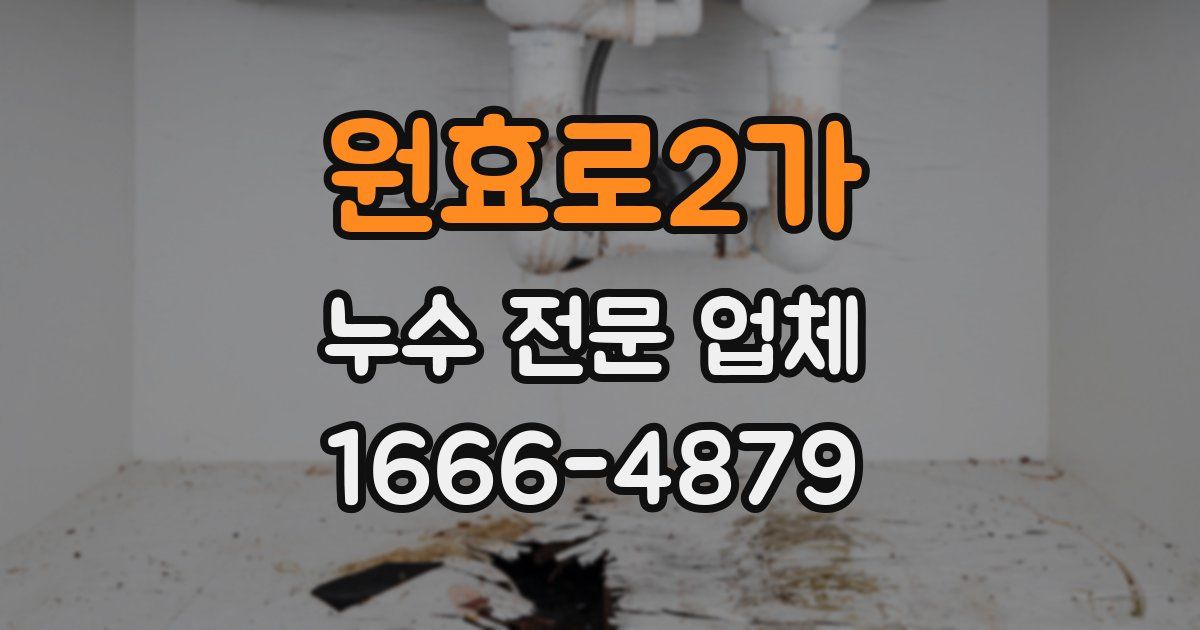 원효로2가 누수 전문 업체