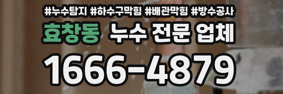효창동 누수 전문 업체