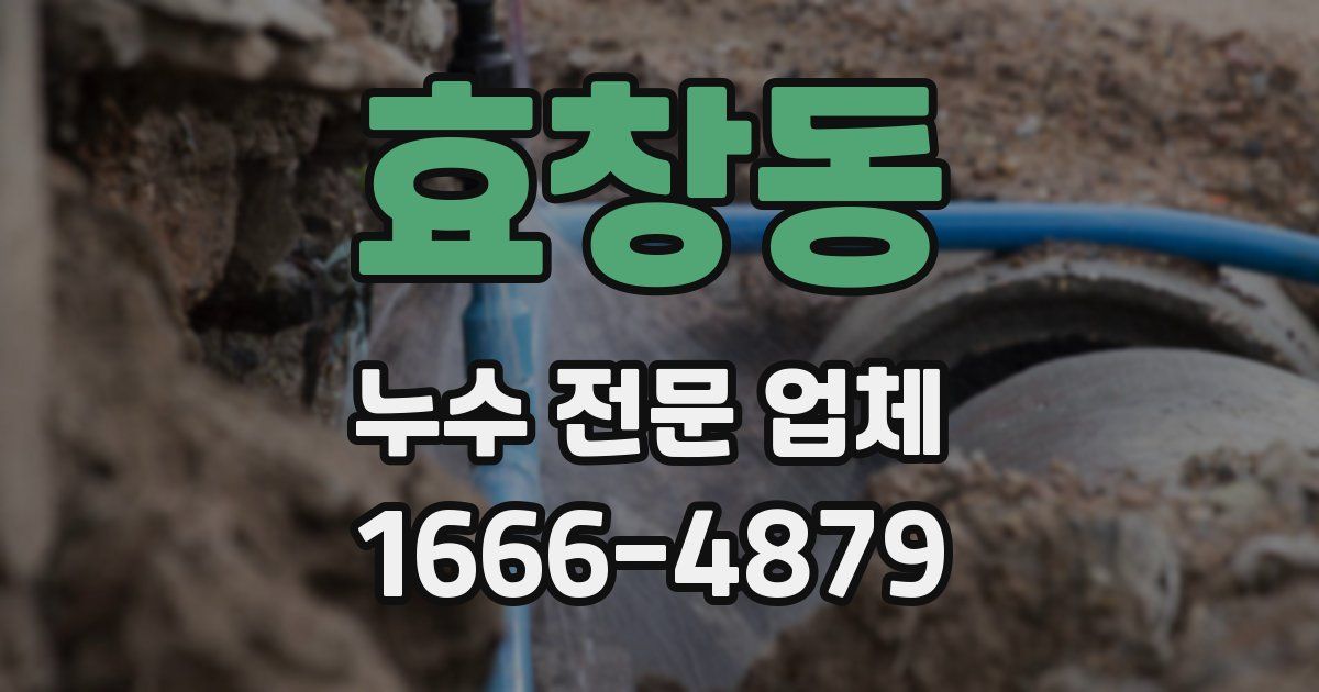 효창동 누수 전문 업체