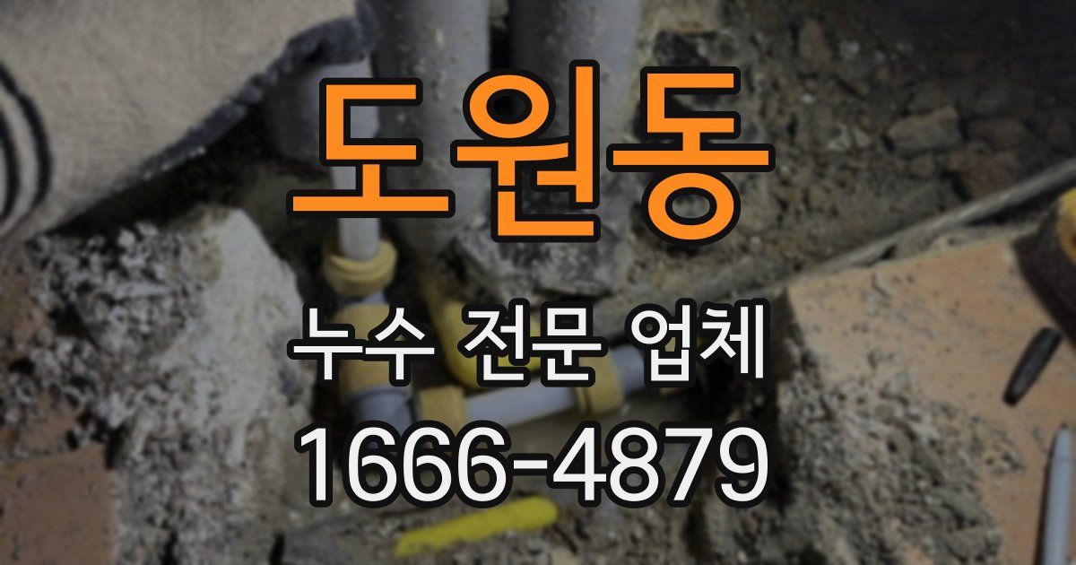 도원동 누수 전문 업체