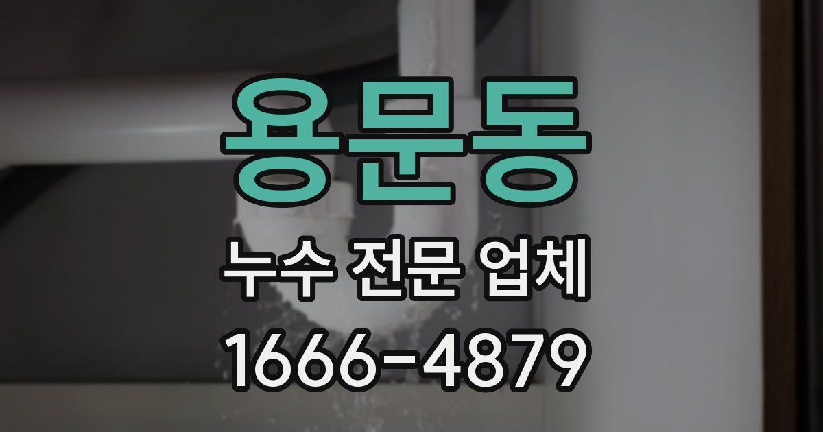 용문동 누수 전문 업체