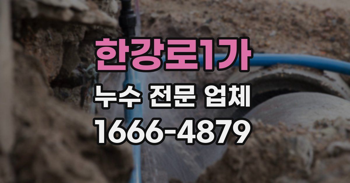 한강로1가 누수 전문 업체