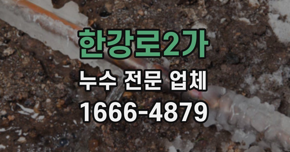 한강로2가 누수 전문 업체