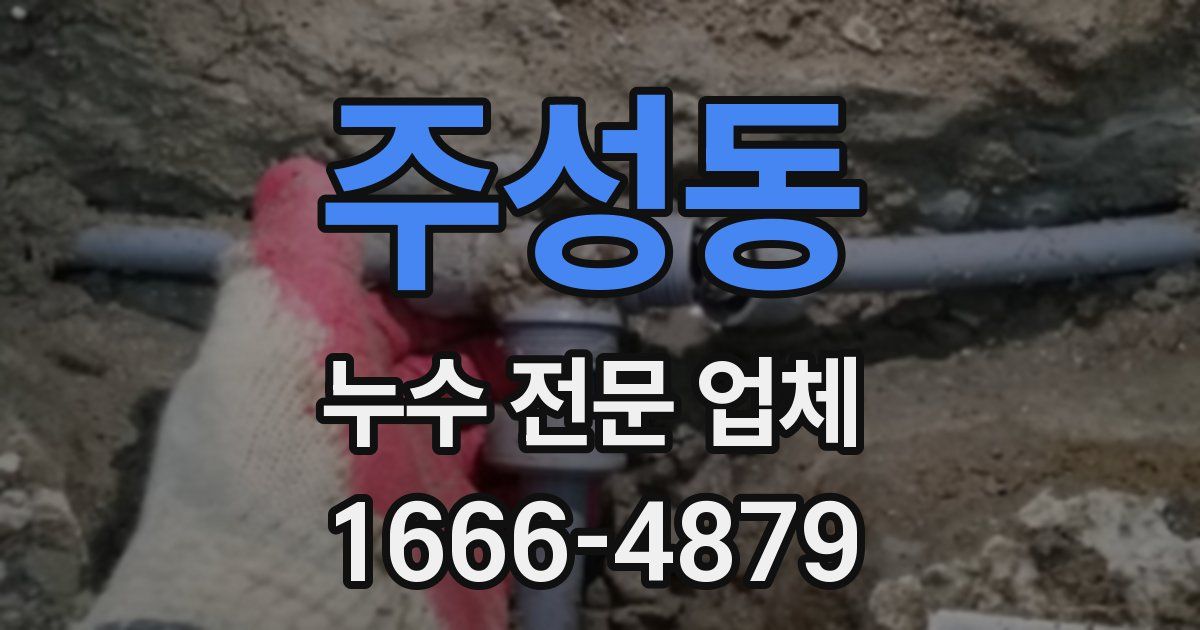주성동 누수 전문 업체