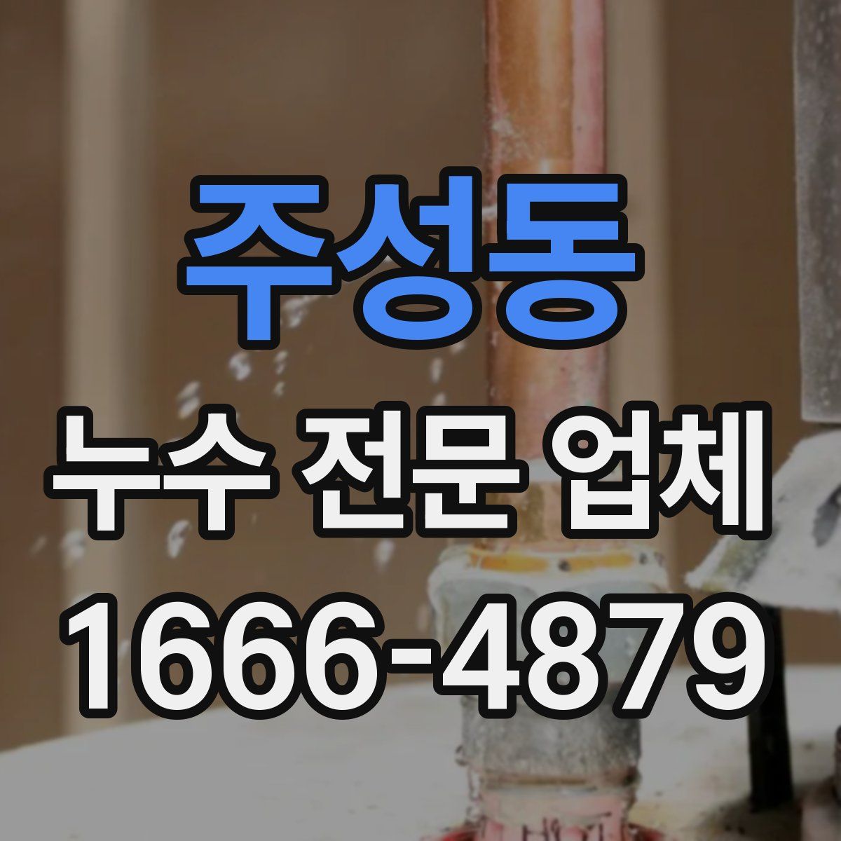 주성동 누수 전문 업체