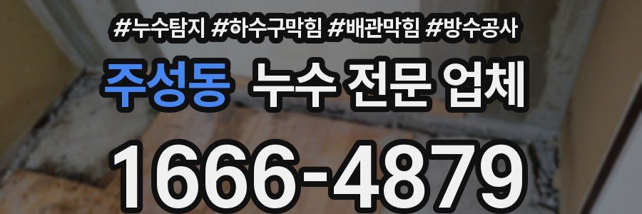 주성동 누수 전문 업체