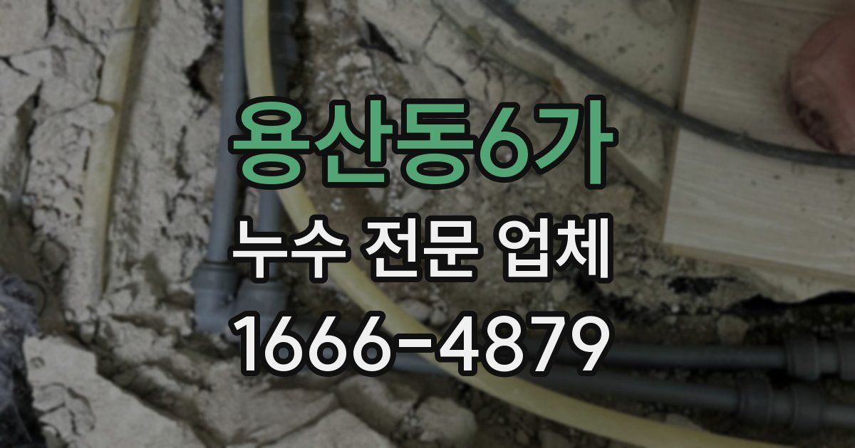 용산동6가 누수 전문 업체